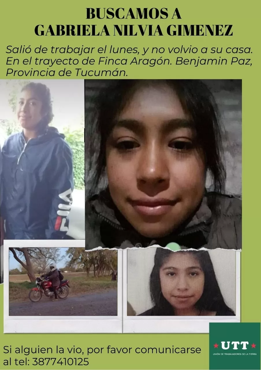 Distintas organizaciones ayudaron a buscar a Gabriela Giménez.  