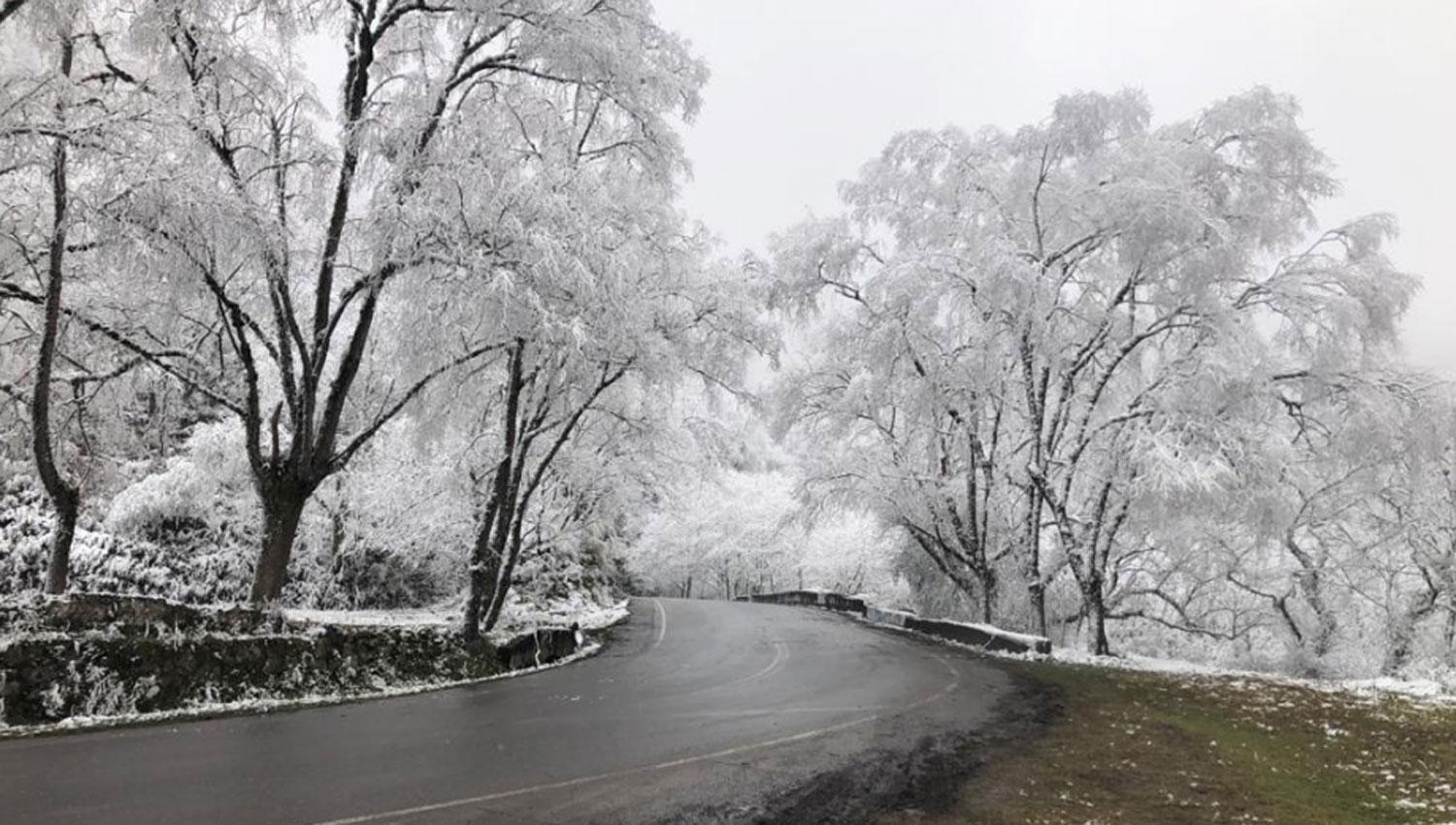 El camino a Tafi del Valle mostró paisajes tapados por la nevada de esta madrugada.
