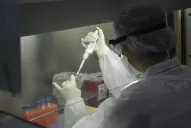 Salud confirma un caso de hongo negro vinculado al coronavirus en Argentina