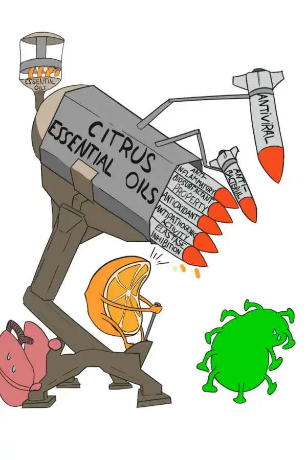 CORONAVIRUS. Un estudio realizado por científicos tucumanos destacó los beneficios de los aceites de citrus contra la covid-19. Imagen de: Julian Amaya y Bélen Amaya.