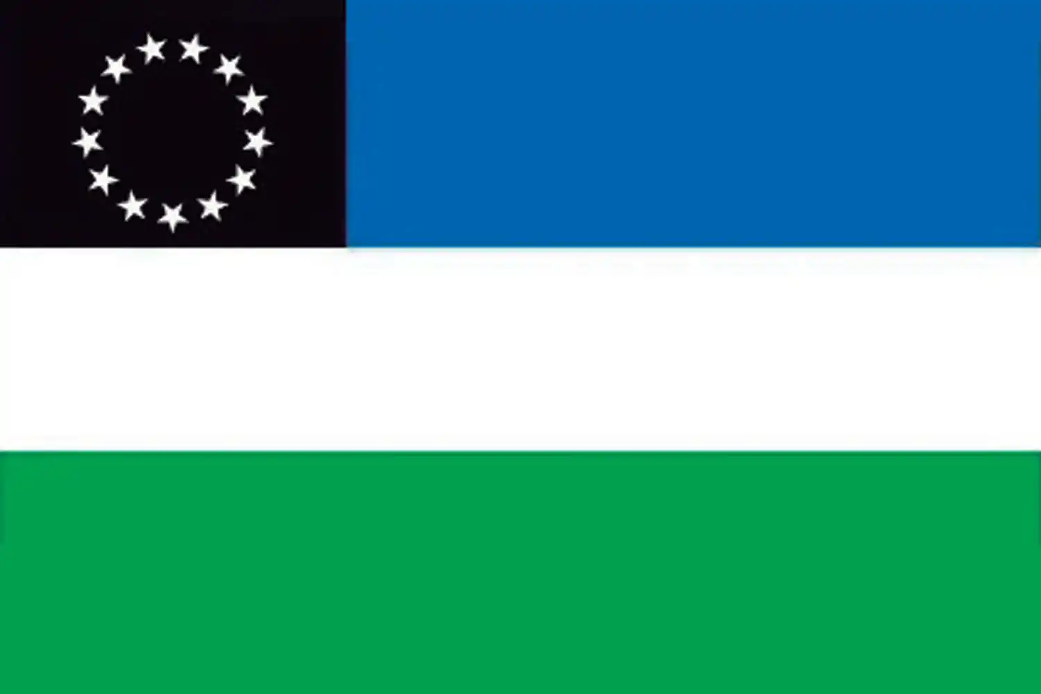 Bandera de Río Negro