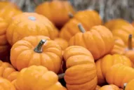 El gobierno redujo a cero las retenciones a exportaciones agroindustriales de las economías regionales