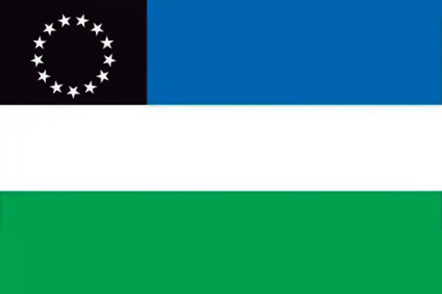 Bandera de Río Negro