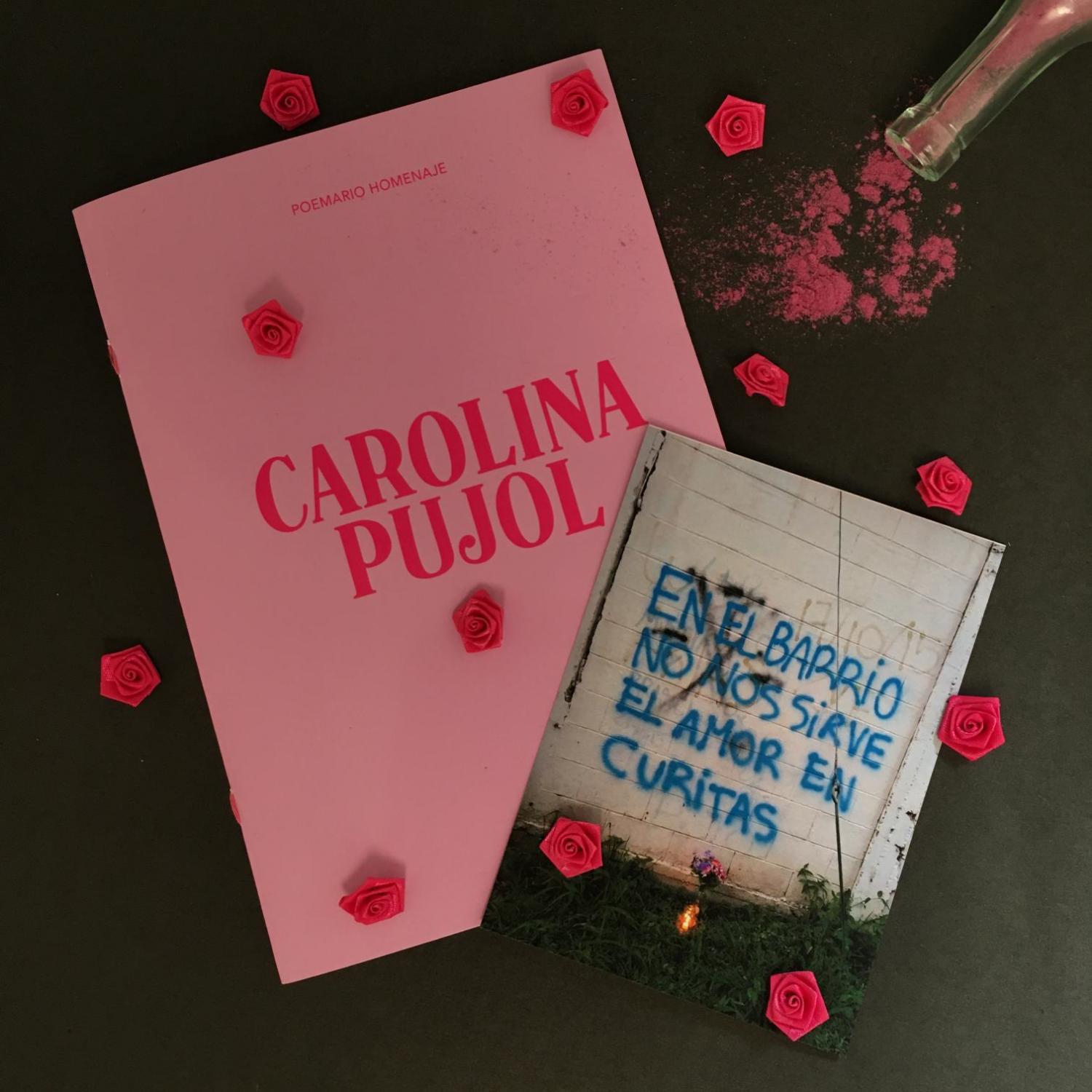 Una editorial tucumana publica los poemas de Carolina Pujol