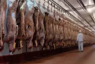 Cepo a las exportaciones: el asado y el vacío quedarán para consumo interno