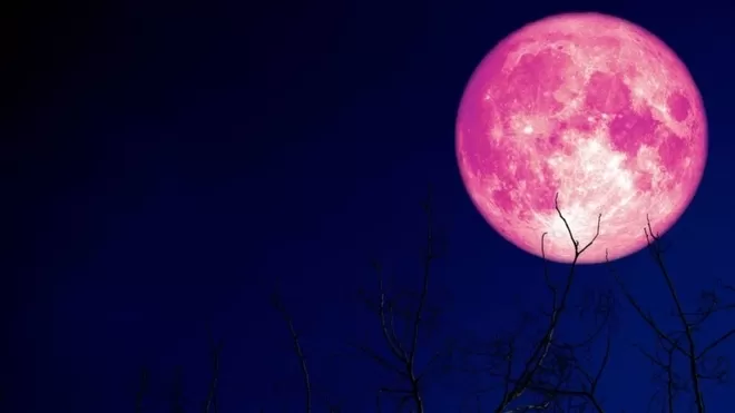 Luna de fresa.  Foto: Shutterstock