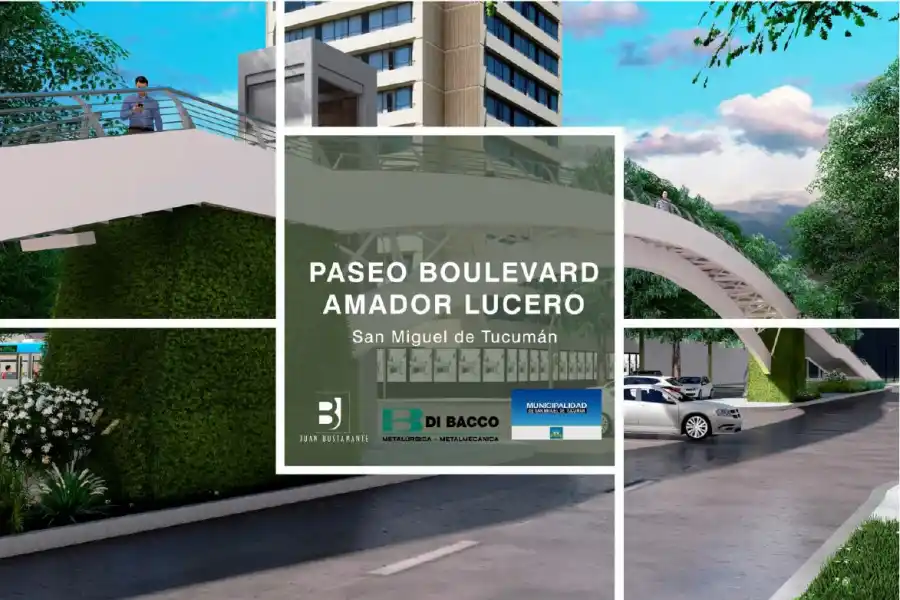 Imágenes del proyecto 