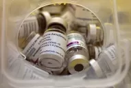 Las tres vacunas que hay en el país se pueden combinar sin problema, dijo un investigador del Conicet