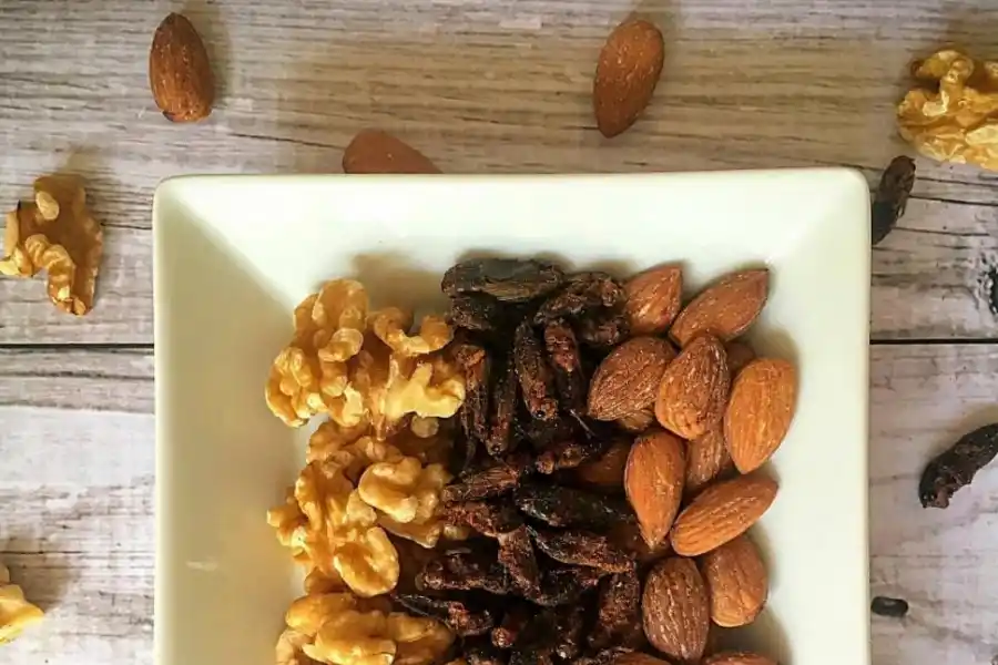 DIETA. Los insectos nos brindan vitaminas y aminoácidos esenciales. 