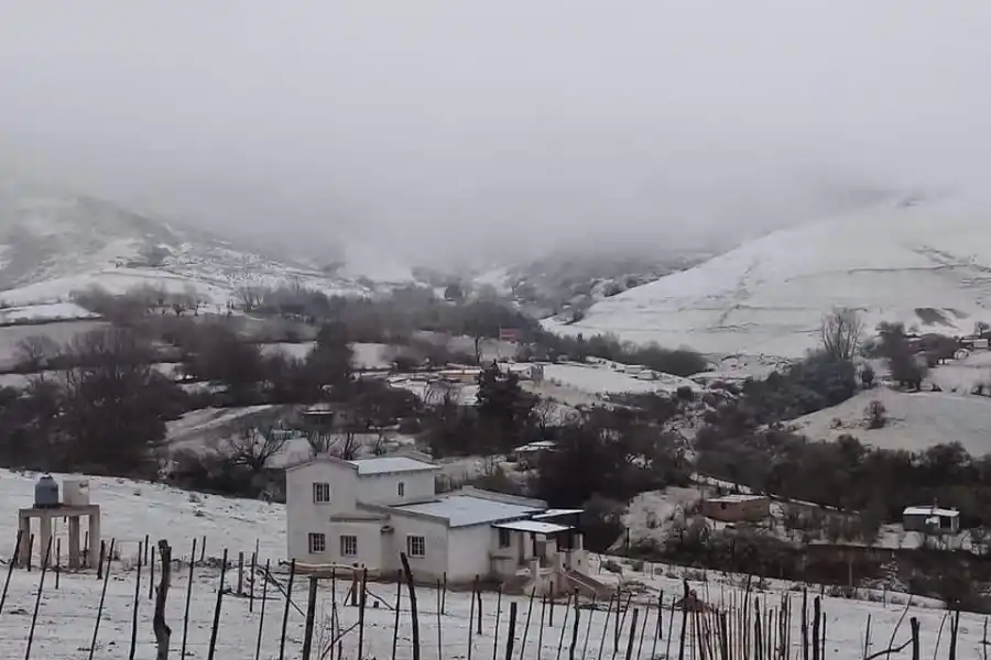 Foto tomada de Twitter/@FrancoMMA