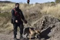 Búsqueda de Guadalupe: realizan más de 10 allanamientos en San Luis