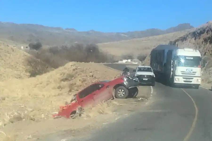 Nieve en los valles: la Policía habilitó el tránsito en la ruta 307