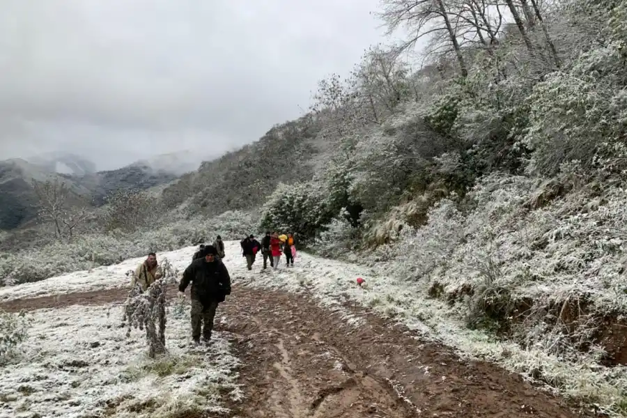 FOTO MINISTERIO DE SEGURIDAD