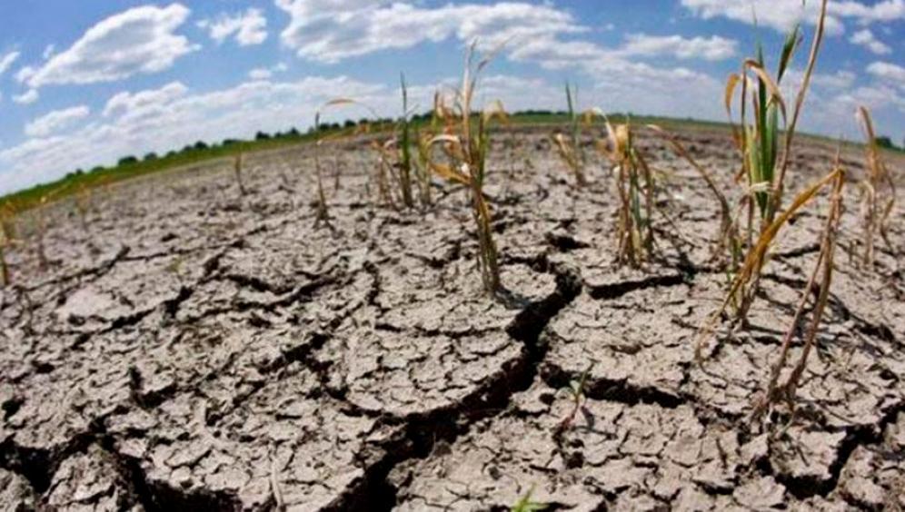 GRAVE. Las crisis climáticas generan pérdidas anuales de hasta U$S 1.400 millones en la Argentina. ARCHIVO LA GACETA