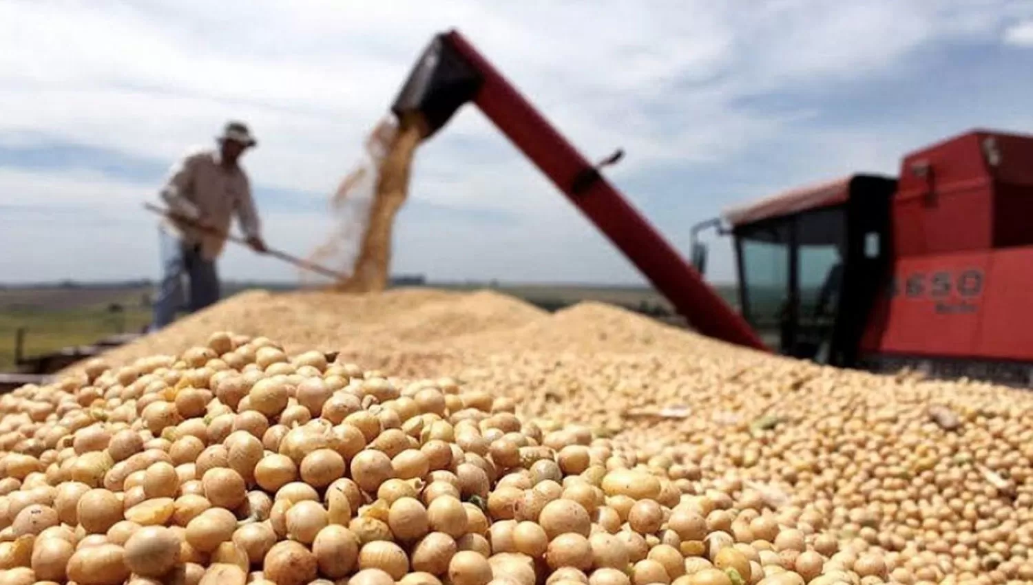 AL TOPE. La harina de soja es el producto más exportado del país según los registros del Indec.
