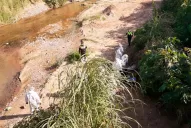 Habrían matado a Rocío para cubrir un presunto abuso sexual