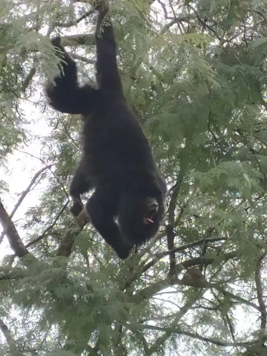 ITINERARIOS. En el Jardín Botánico y en la Reserva de Horco Molle, el trabajo de conservación se acompaña con programas educativos y actividades para las familias. GENTILEZA UNT