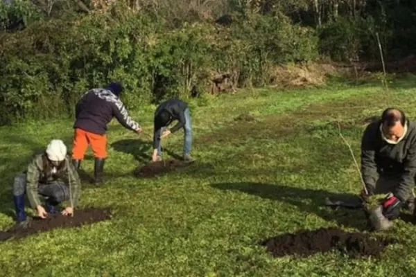Ecología y medio ambiente: quieren restaurar el bosque nativo en Aguas Chiquitas