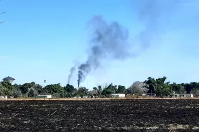 Cartas de lectores II: prácticas nocivas