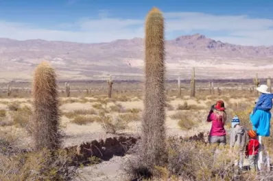 Vacaciones de invierno en Salta: conocé la oferta turística
