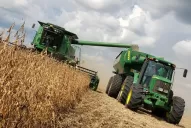 La soja registró más compradores en el mercado, según la Bolsa rosarina