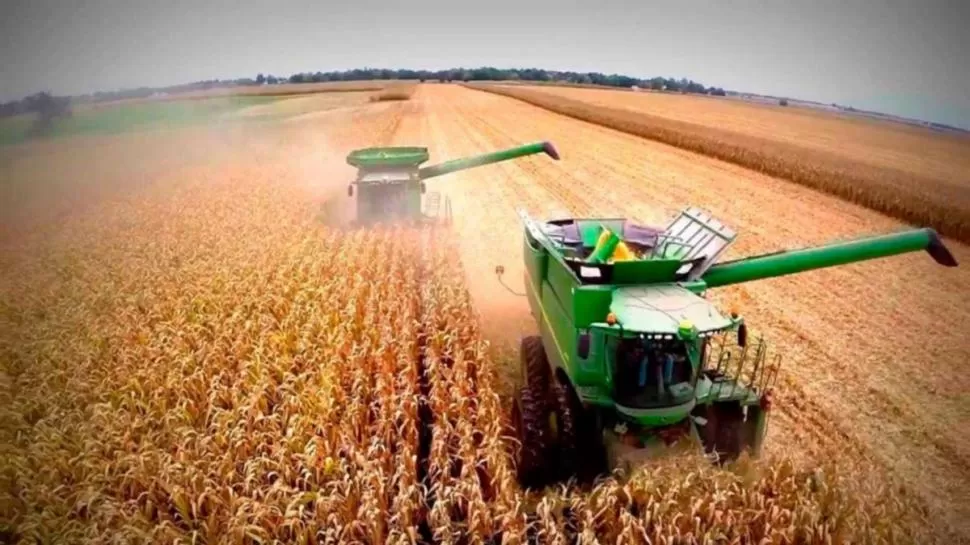 DATO. La siembra de maíz tardío superó el 55% del área sembrada del país. 