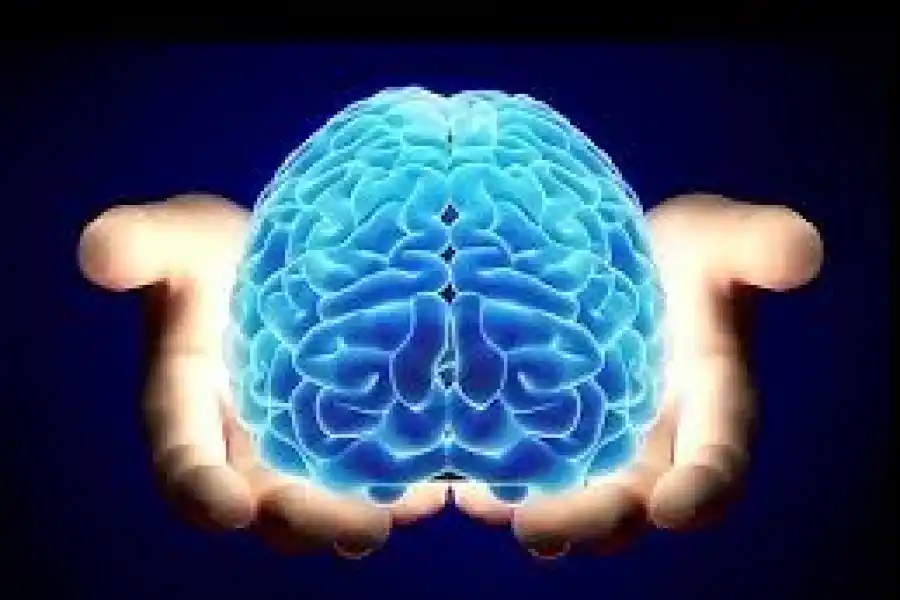 CON SU OBRA. El doctor Abraham Campero es un neurocirujano de larga y destacada trayectoria. 