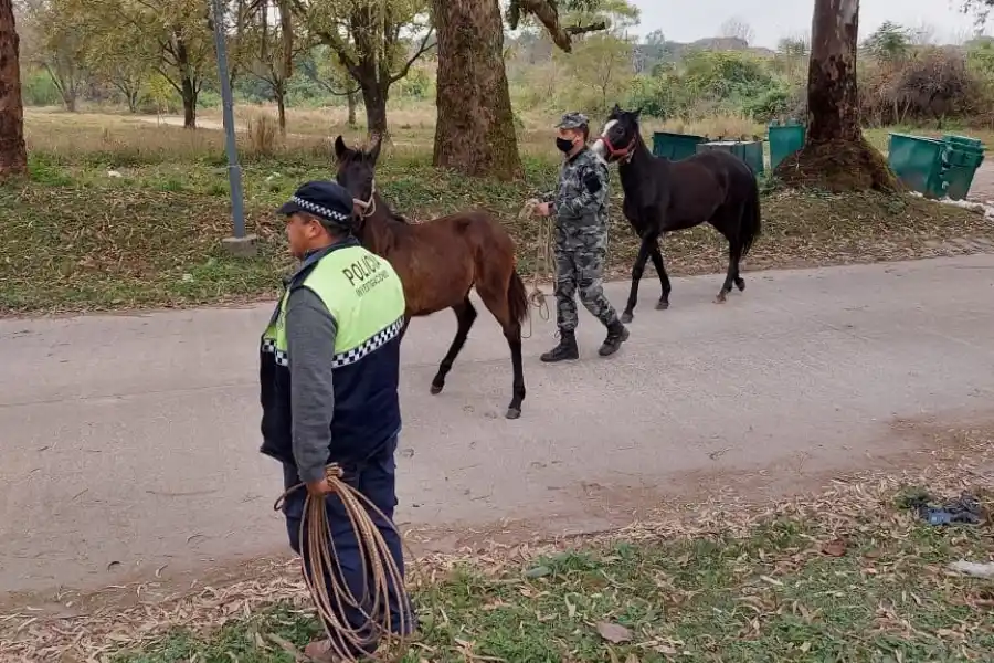 FOTO POLICÍA DE TUCUMÁN