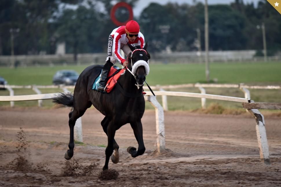 Le sobra jerarquía a la programación del fin de semana en el Hipódromo - Vimarsana News