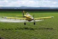 Capacitarse para el uso de productos fitosanitarios