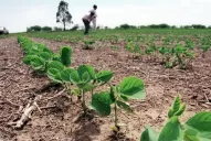 La riqueza que habita debajo de los suelos