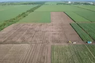 Técnicos de la Eeaoc analizaron los mapas de suelo del área cañera de Tucumán