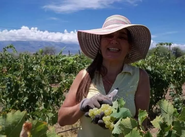 EN COLALAO DEL VALLE. 13 lunas llenas pasan las uvas en los viñedos biodinámicos de Silvia Gramajo. 