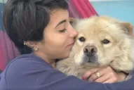 Perdió a su perra en Tucumán y ofrece un iPhone 8 como recompensa