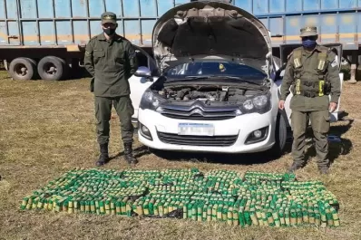 Tucumán: Gendarmería interceptó un cargamento ilegal de hojas de coca