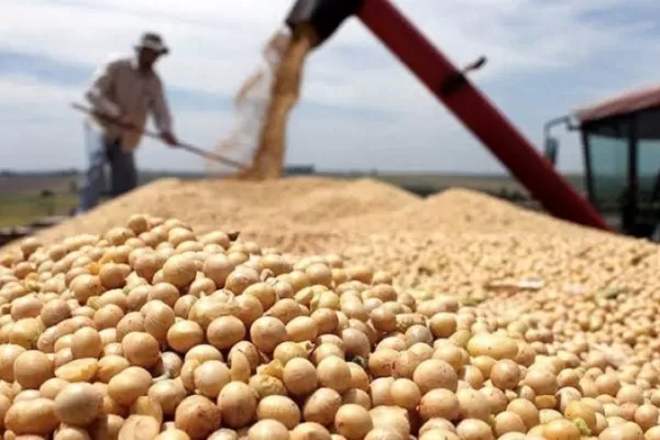 Granos Bolsa De Comercio De Rosario Cotizaciones Precio Comercio