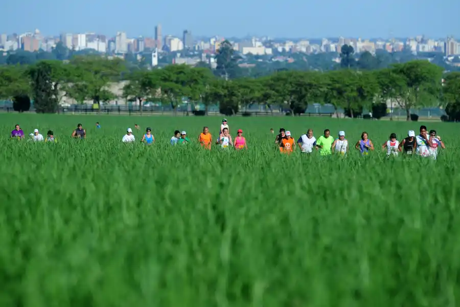 EXTENSO. El coronavirus no afecta solamente los pulmones; tiene varias repercusiones en el organismo, con consecuencias para el intestino, los riñones, el cerebro y el corazón. LA GACETA/DIEGO ARAOZ