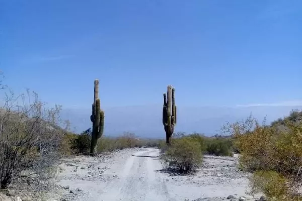 Ritual en Amaicha, tierra del vino patero