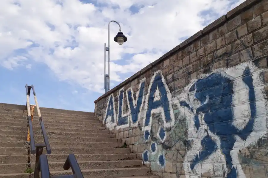 Alvarado, Torito en rodeo propio