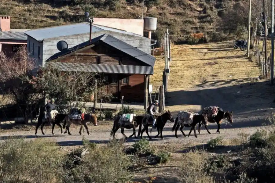 CON TODO CARGADO. Los animales son usados para trasladar todo tipo de pertenencias, desde un armario hasta paneles solares. Al guía no puede faltarle hojas de coca para evitar el apunamiento ni ropa de abrigo para soportar las bajas temperaturas.