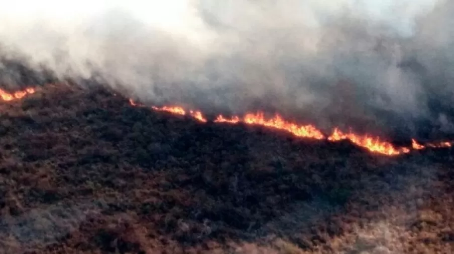 FUEGO. Focos de incendio activos en Santa Fe, en Santiago del Estero y en La Rioja.