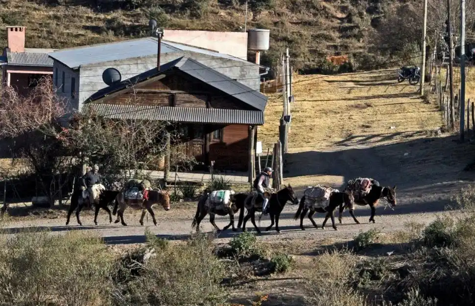 CON TODO CARGADO. Los animales son usados para trasladar todo tipo de pertenencias, desde un armario hasta paneles solares. Al guía no puede faltarle hojas de coca para evitar el apunamiento ni ropa de abrigo para soportar las bajas temperaturas.