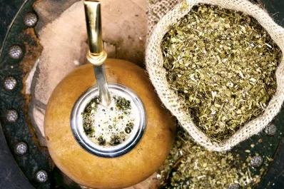 Argentina: el consumo de yerba mate creció un 3,1% en el primer semestre