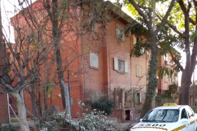 Podaron pero no retiraron las ramas