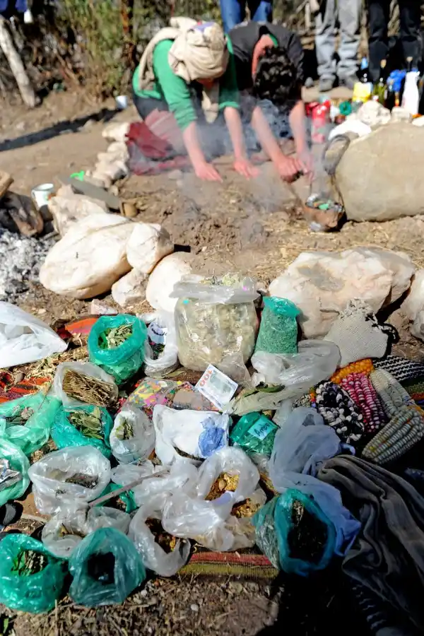 NATURAL. Hierbas y maíz no pueden faltar en las ceremonias anuales.
