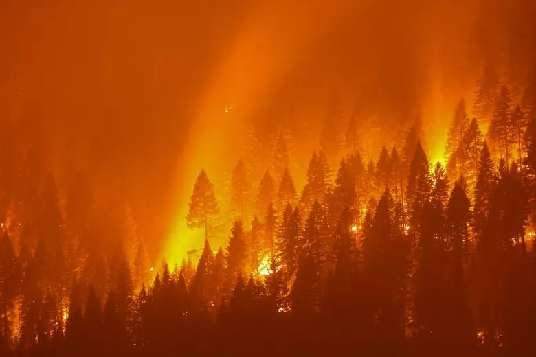   El fuego devora todo a su paso en California