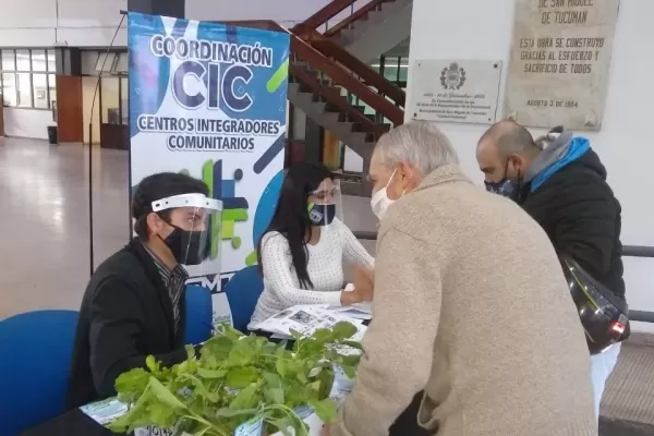 “Eco canje”: a cambio de botellas de plástico te entregan plantines de huertas