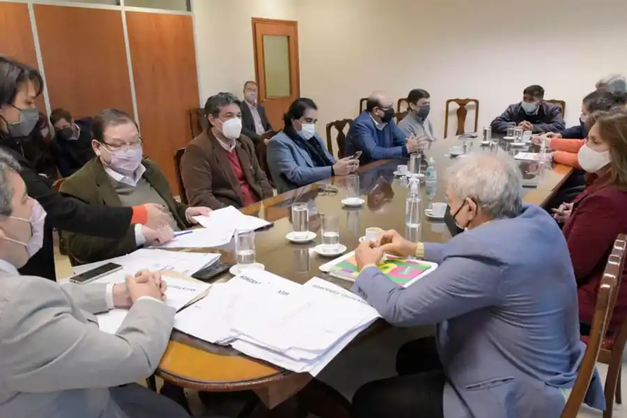 ¿Cuáles son los plazos y los pasos que deben darse para el juicio político contra Lichtmajer?