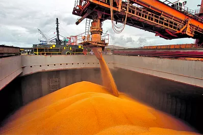 Se embarcó menos granos, pero más aceite y subproductos de aquellos