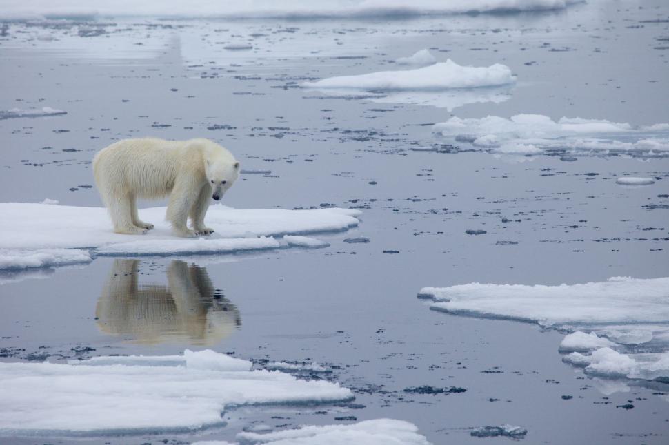 ALTO IMPACTO. El calentamiento afecta el nivel de las aguas del mar, debido al derretimiento de los hielos. ARCHIVO